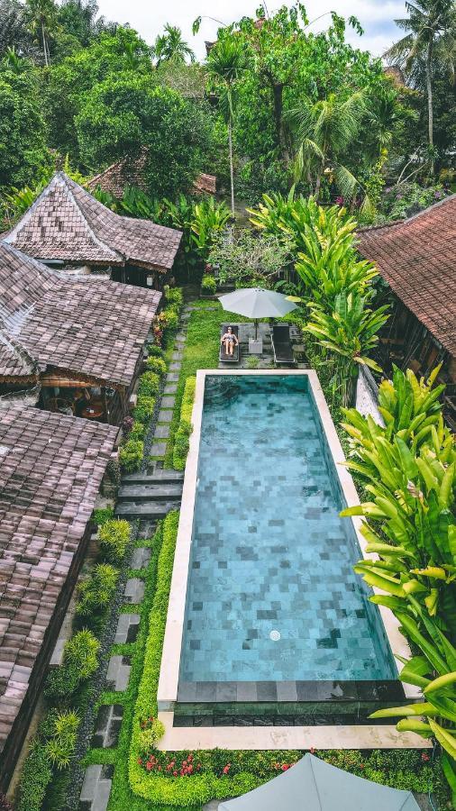 Guest house Ari